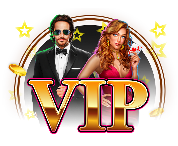 vip program